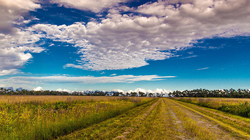 Commercial Cleaning Services in Orlando, FL 5 Kissimmee Florida Cleaning Services